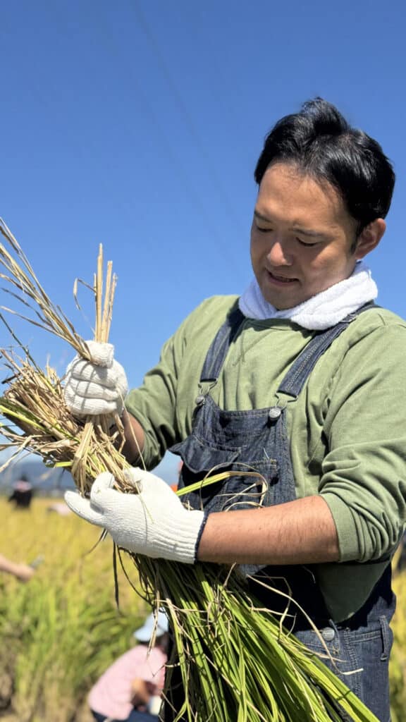 ロータリー稲刈り